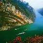 长江联合原油(长江联合原油最新消息)