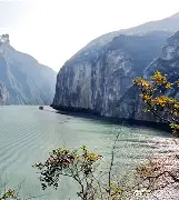 长江联合原油(长江联合原油最新消息)