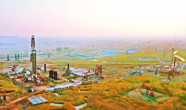 中原油田(中原油田公安局移交公告公示)